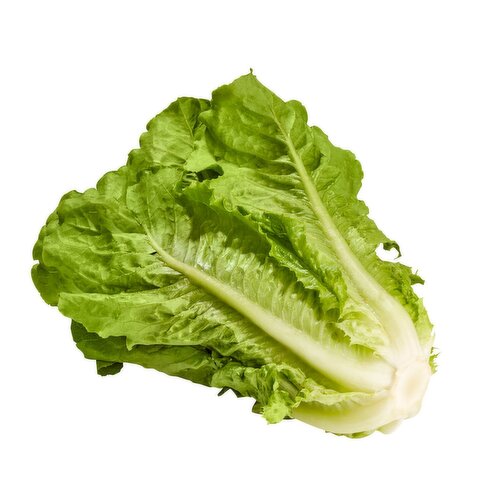 Romaine Lettuce, 1 ct, 20 oz