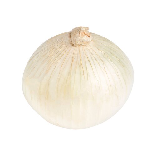 White Onion, 1 ct