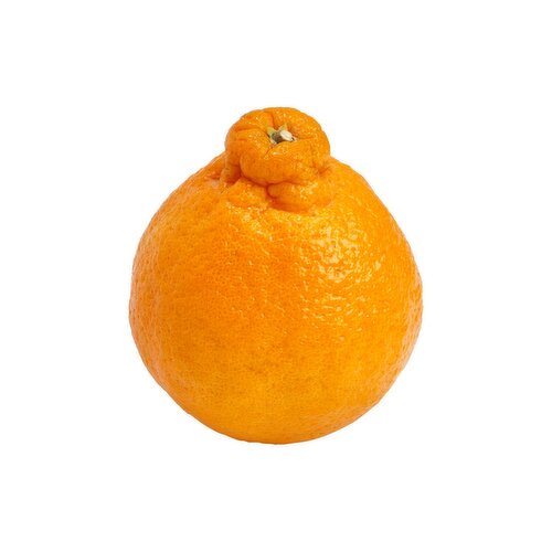 Sumo Mandarin Orange, 1 each