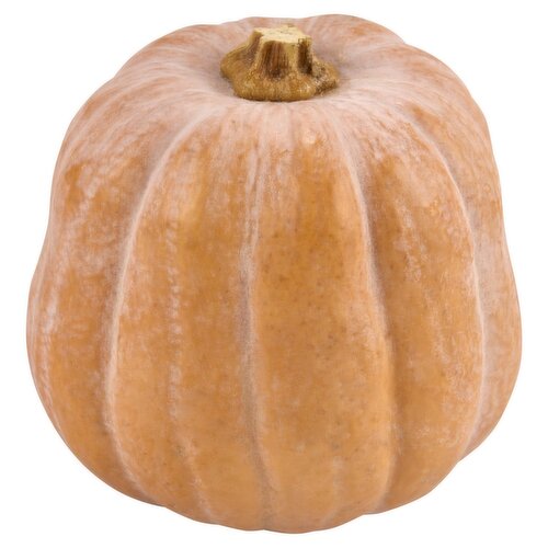 Fresh Autumn Frost Squash