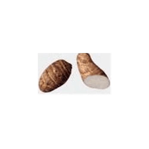 Fresh Dasheen/Taro Root, 1 ct, 1 each