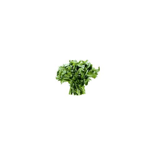 Fresh Watercress, 1 each
