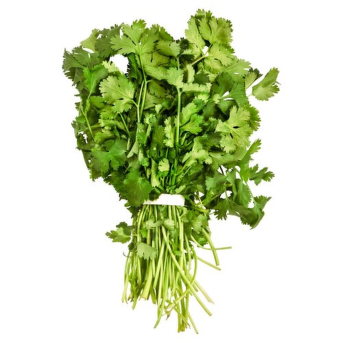 Fresh Cilantro, 1 bunch, 1 each