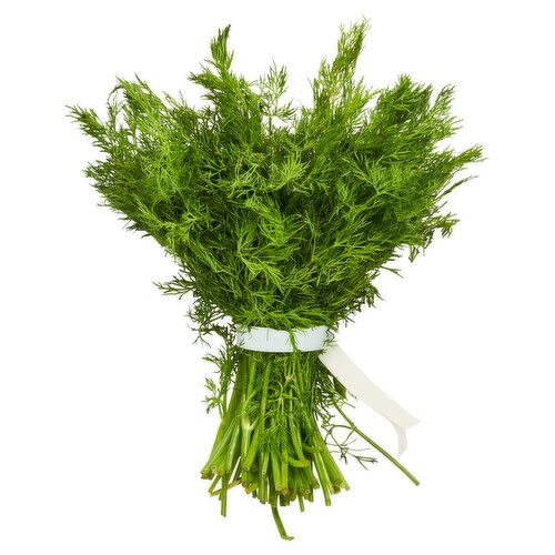 Fresh Dill, 1 each