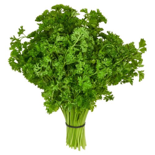 Parsley Curly, 1 each