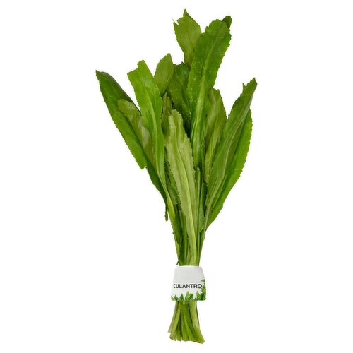 Recaito Leaf, 40 each