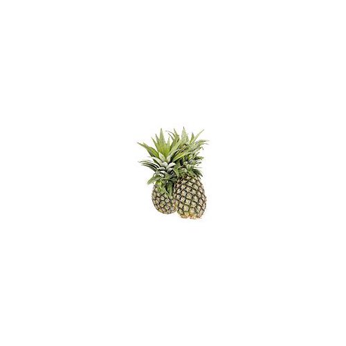 Golden Pineapple, 1 each