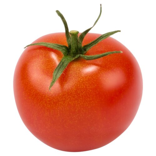 Fresh Campari Tomatoes, each