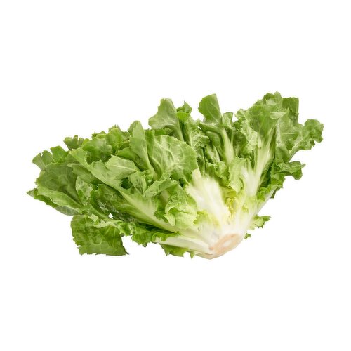 Organic Escarole, 13 oz