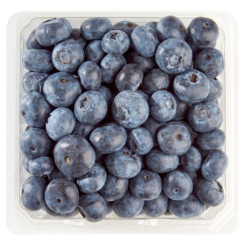 Organic Blueberries, 6 oz