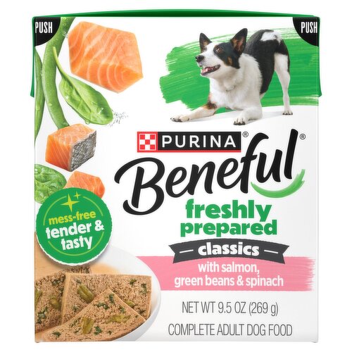 Purina Beneful Classics with Salmon, Green Beans & Spinach Complete Adult Dog Food, 9.5 oz