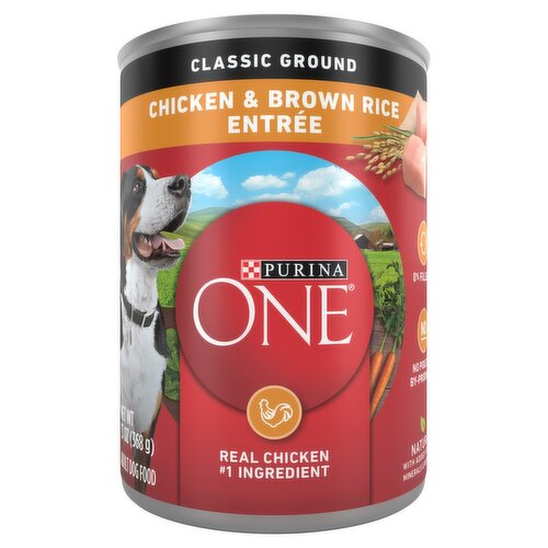 Purina ONE Classic Ground Chicken & Brown Rice Entrée Adult Dog Food, 13 oz