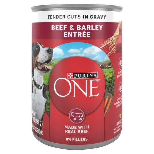 Purina ONE Tender Cuts in Gravy Beef & Barley Entrée Adult Dog Food, 13 oz