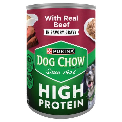 Purina Dog Chow High Protein Dog Food with Real Beef in Savory Gravy, 13 oz