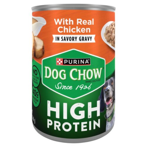 Purina Dog Chow High Protein with Real Chicken in Savory Gravy Dog Food, 13 oz