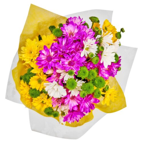 Jumbo Poms Bunch