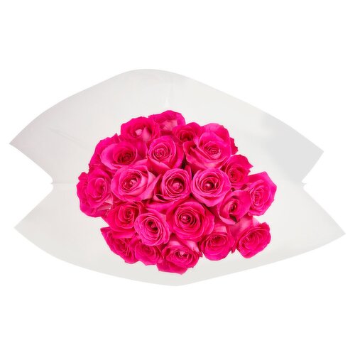 The Floral Shoppe Double Dozen Rose Bunch