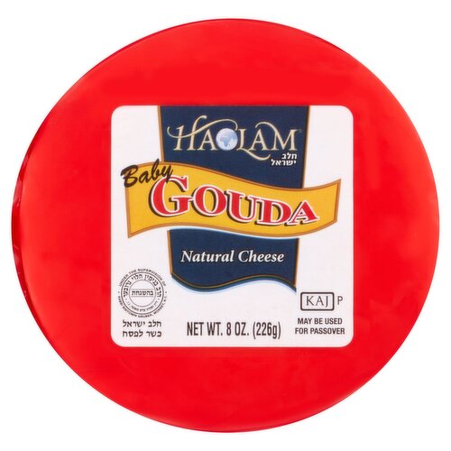 Haolam Baby Gouda Natural Cheese, 8 oz