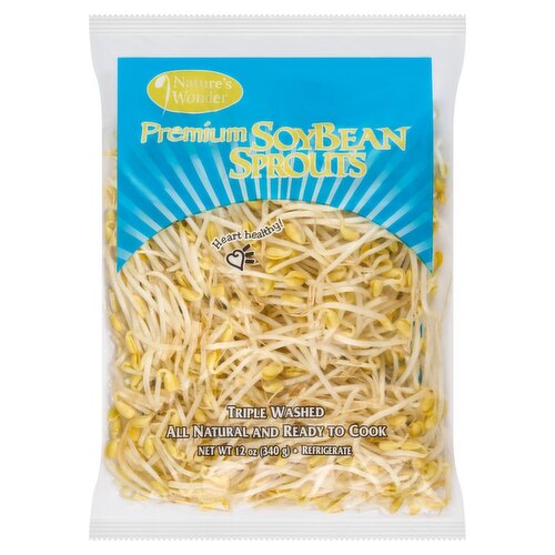 Fresh Bean Sprouts, 12 oz