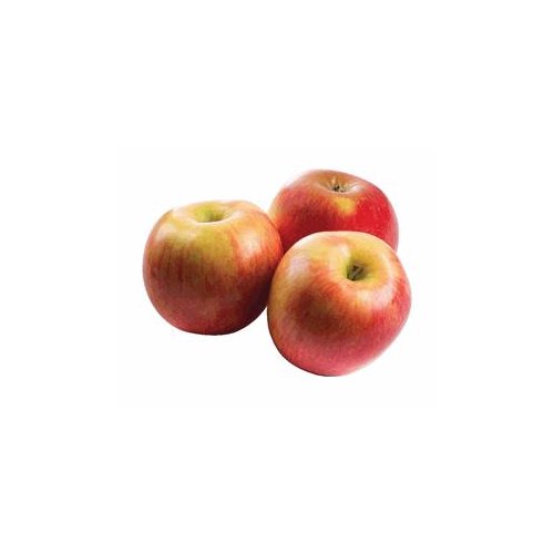 Gala Apples - 5 Lb Bag, 5 pound