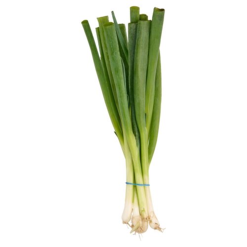 Fresh Green Onions, bunch