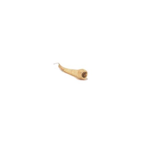 Fresh Parsnips, 13 oz