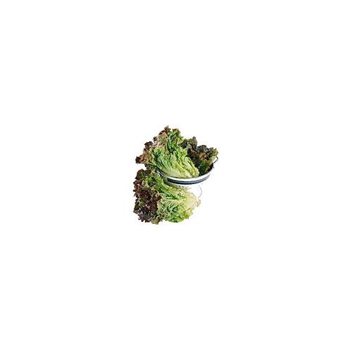 Red Leaf Lettuce - Organically Grown, 10 oz