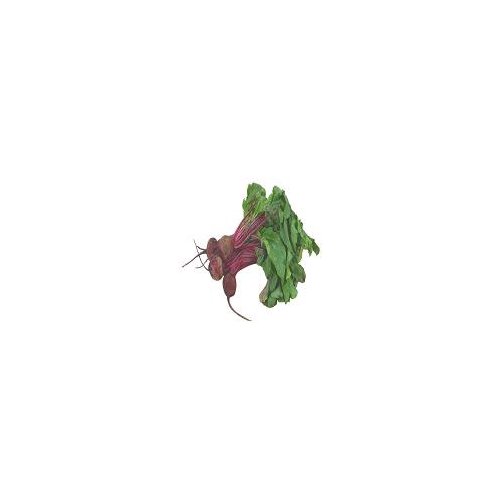 Organically Grown Beets, 1 each