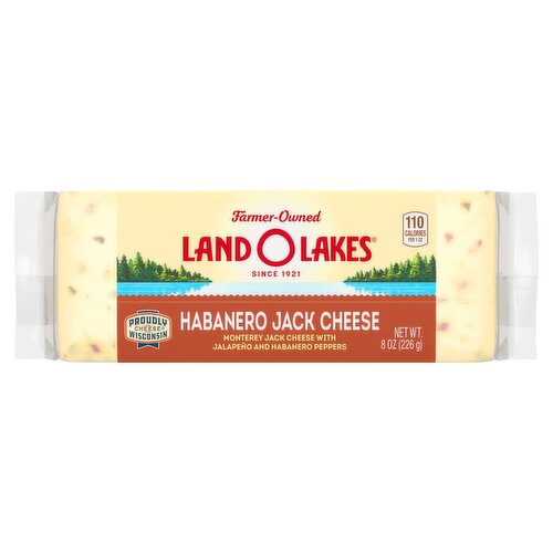 Land O Lakes Habanero Jack Cheese Chunk, 8 oz Block