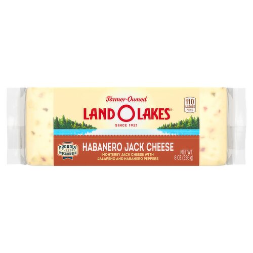 Land O Lakes® Habanero Jack Cheese, 8 oz Block