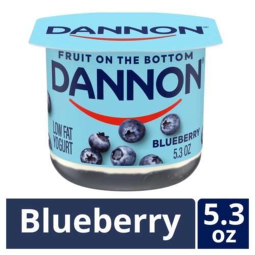 Dannon Blueberry Low Fat Yogurt, 5.3 oz