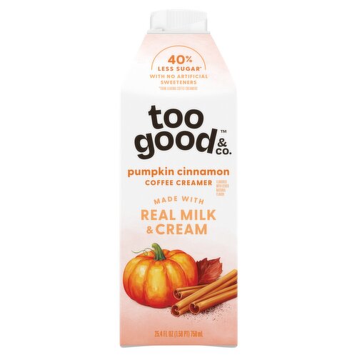 Too Good & Co. Pumpkin Cinnamon Coffee Creamer, 25.4 fl oz