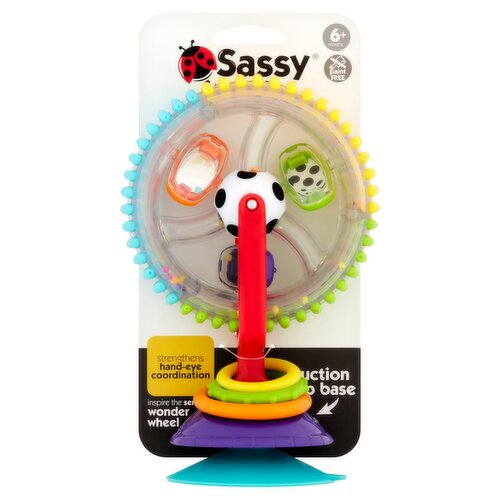 Sassy Sensory to STEM Developmental Matrix Toy, 6 Months+