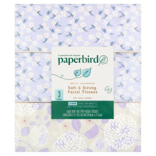 Paperbird 2-ply Soft & Strong Facial Tissue, 160 sheets, 3 pk