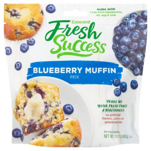 Concord Fresh Success Blueberry Muffin Mix, 15.1 oz
