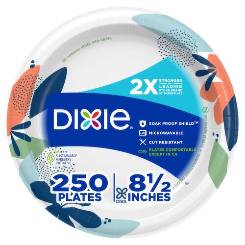 Dixie Disposable Paper Plates, 8.5", Multi-Color, 250 Count