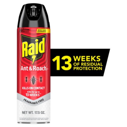 Raid Fragrance Free Ant & Roach Killer 26, 17.5 oz