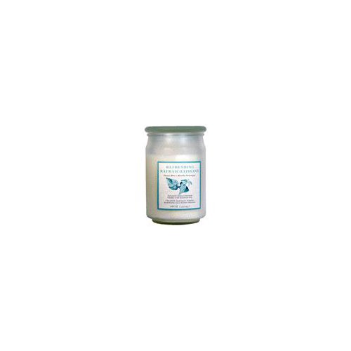 Star Candle Company L.L.C Frosted Apothecary Jar Candle, 16 oz