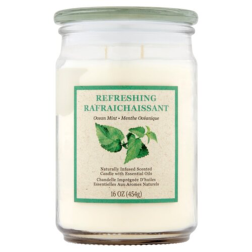 Star Candle Co Two Wick Refreshing Ocean Mint Scented Candle, 16 oz