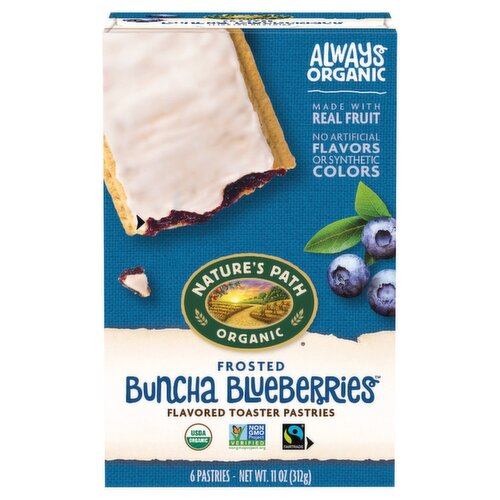 Nature's Path Buncha Blueberries Frosted Toaster Pastries, 11 oz