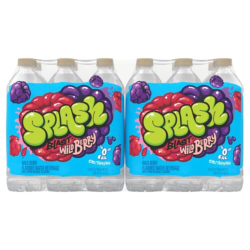 Splash Blast, Wild Berry Flavor Water Beverage, 16.9 FL OZ Plastic Bottles (24 Count)