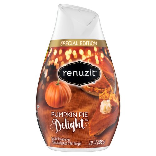Renuzit Delight Pumpkin Pie Gel Air Freshener Special Edition, 7.0 oz