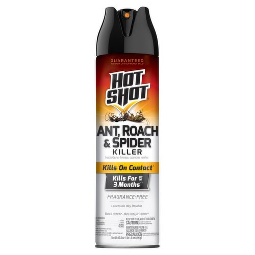 Hot Shot Fragrance Free Ant, Roach & Spider Killer, 17.5 oz