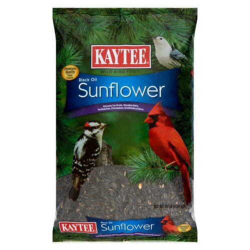 Kaytee Black Oil Sunflower Wild Bird Food, 10 lb