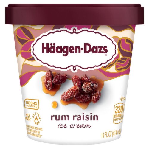 Häagen-Dazs Rum Raisin Ice Cream, 14 fl oz