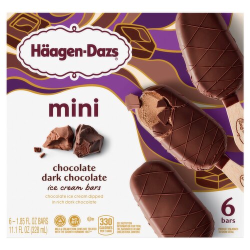 Häagen-Dazs Chocolate Dark Chocolate Mini Ice Cream Bars, 1.85 fl oz, 6 count