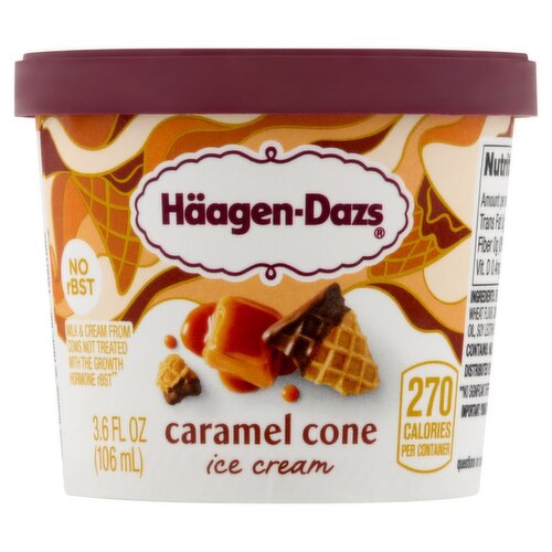 Häagen-Dazs Caramel Cone Ice Cream, 3.6 fl oz