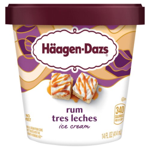 Häagen-Dazs Rum Tres Leches Ice Cream, 14 fl oz