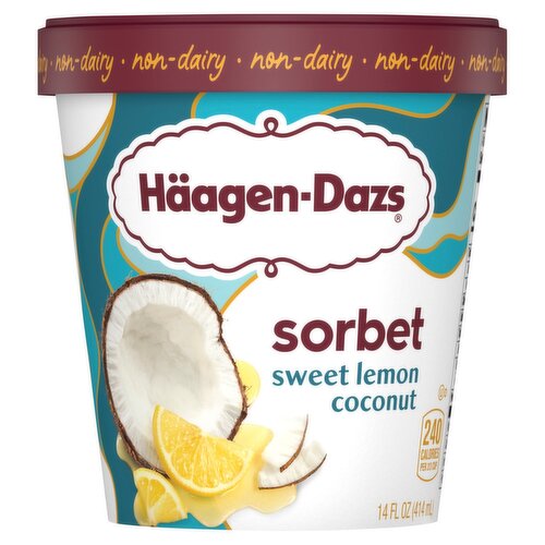 Häagen-Dazs Sweet Lemon Coconut Sorbet, 14 fl oz