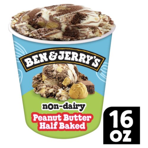 Ben & Jerry's Non-Dairy Peanut Butter Half Baked Frozen Dessert, 16 oz